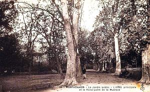 MOSTAGANEM - JARDIN - PUBLIC - ALLEE ET ROND-POINT DE LA MUSIQUE